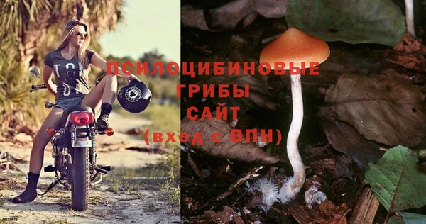 a pvp Няндома